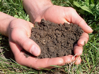 garden-soil