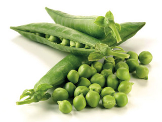 Garden Planning and Planting: Fresh Peas